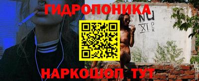 круглые Лесосибирск