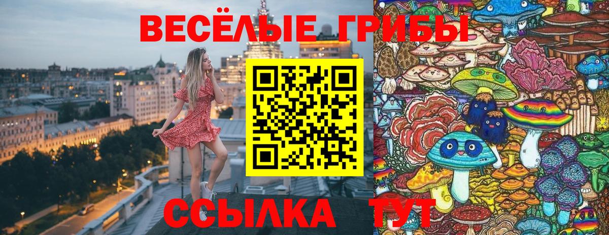 Галлюциногенные грибы Cubensis  Вход с VPN  Галлюциногенные грибы прущие грибы  где продают наркотики  Ялта 
