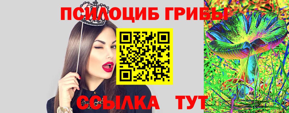 Псилоцибиновые грибы Psilocybe Ялта